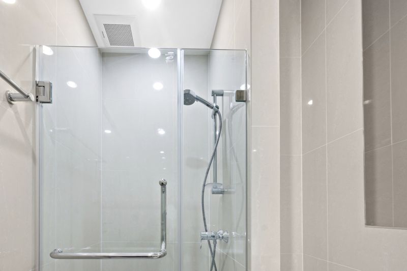 Sleek Glass Shower Door